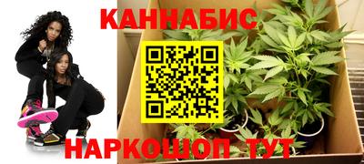 прущие крисы Изобильный