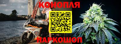 прущие крисы Изобильный