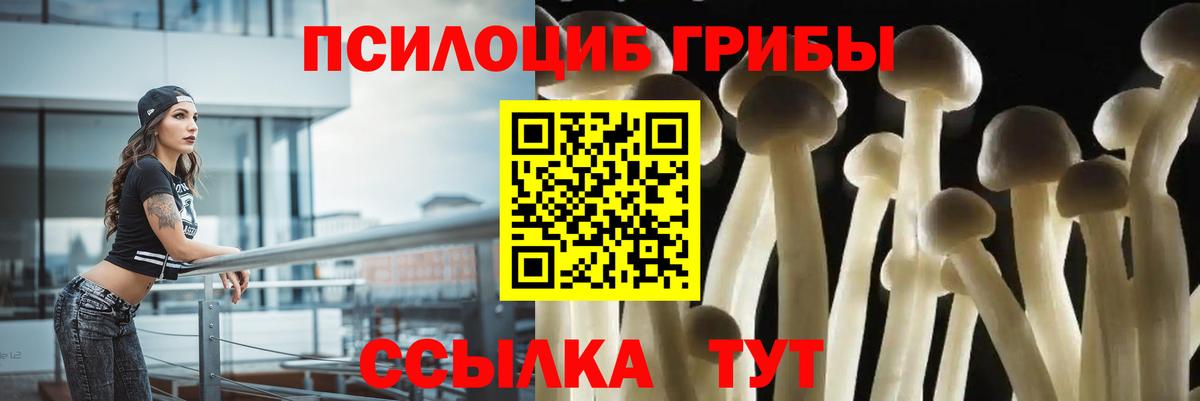 Псилоцибиновые грибы прущие грибы  Вход с VPN  Обнинск  Галлюциногенные грибы мицелий 