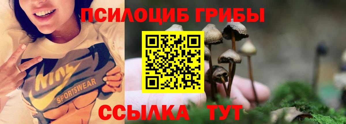 Псилоцибиновые грибы ЛСД Обнинск